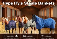 Welche ist die richtige Stalldecke für dich? Stalldecke
